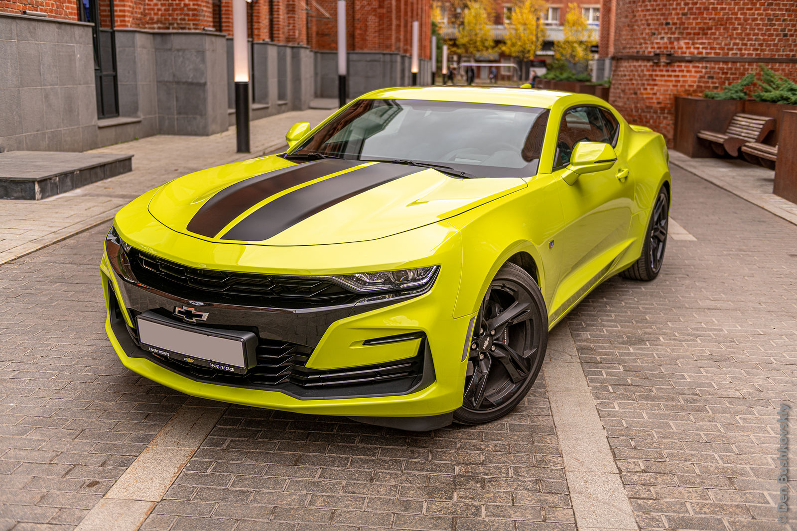 Chevrolet Camaro Shock Edition