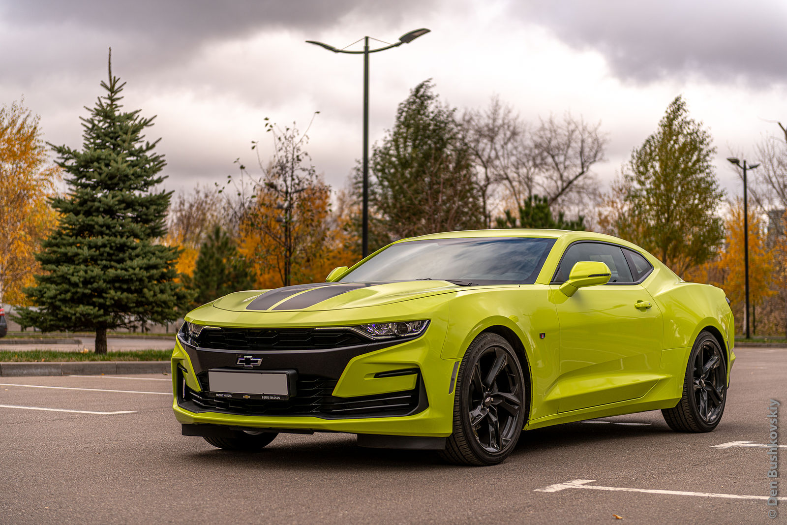 Chevrolet Camaro Shock Edition