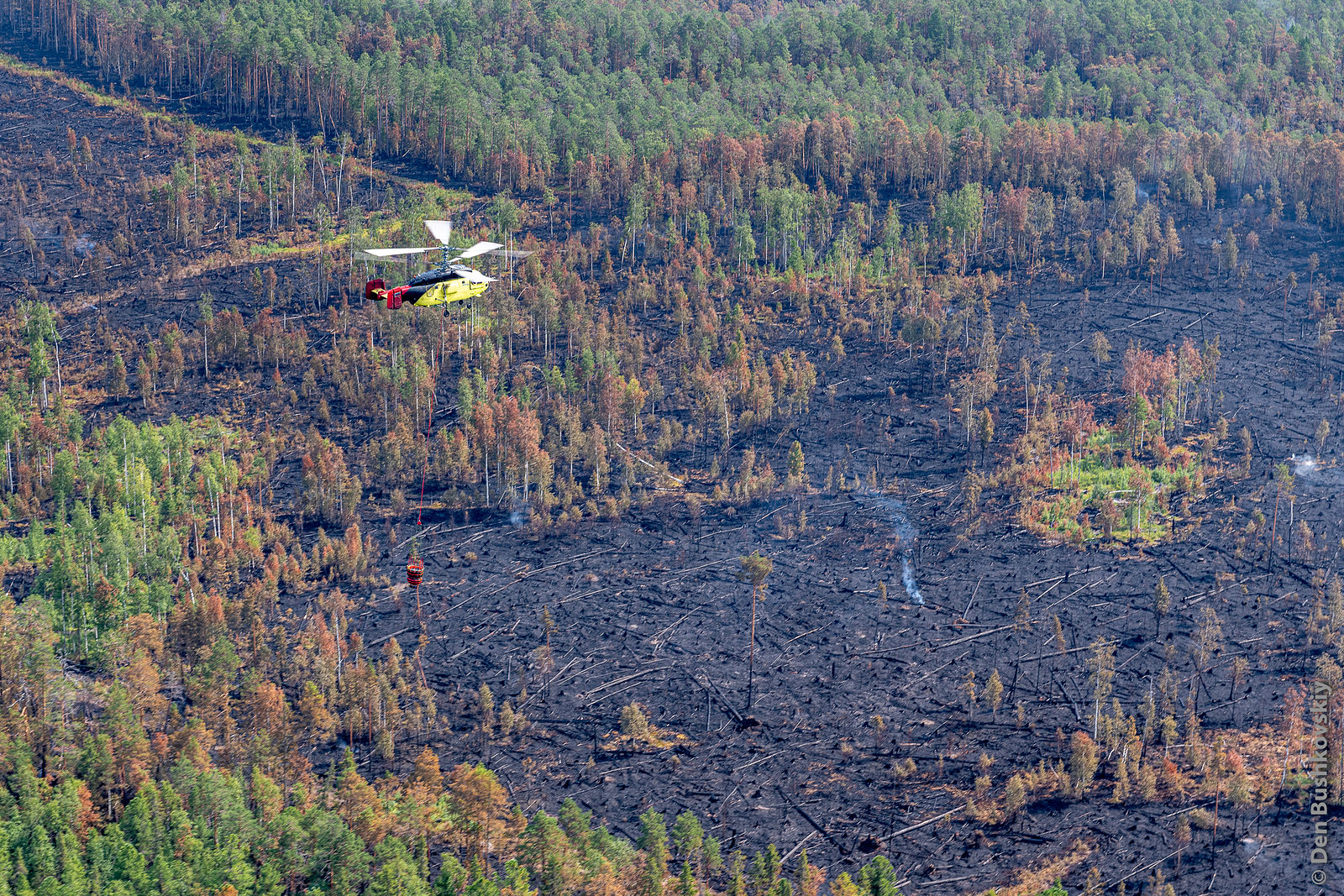 Den Bushkovskiy Photographer. Extinguishing forest fires. Untitled