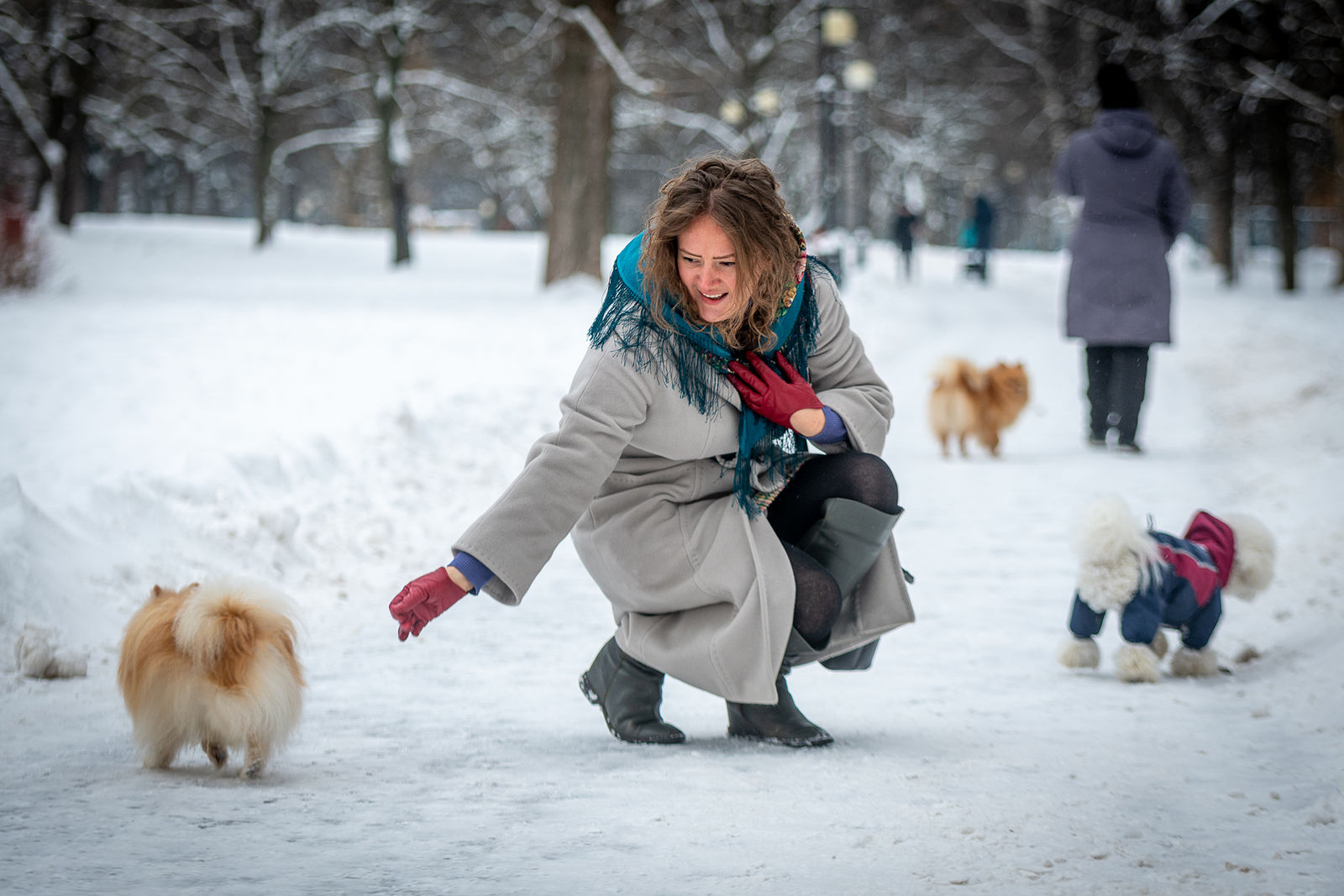Den Bushkovskiy Photographer. Photo Walk. Untitled